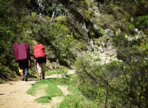 Porteadores cargando el equipo de campamento en el Camino Inca