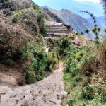 Escalinatas de piedra que bajan hacia un complejo de andenes incas en el Camino Inca de 4 días