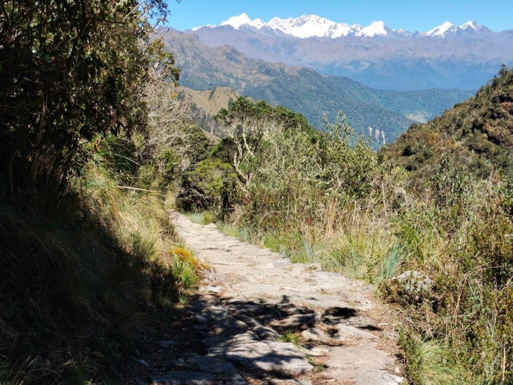 Sendero de piedra del Camino Inca con la cordillera nevada al fondo