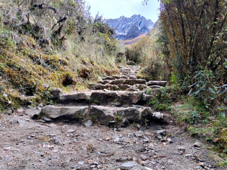 Escalinatas incas de piedra en el Camino Inca con un pico nevado al fondo