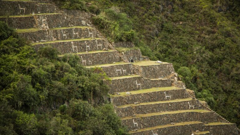 Mosaicos de llamas hechos con piedras blancas que decoran los muros de los andenes agrícolas incas en la zona sagrada de Choquequirao.