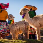 Dos mujeres andinas con trajes típicos y coloridos junto a un grupo de adorables alpacas en una colina de los Andes peruanos.