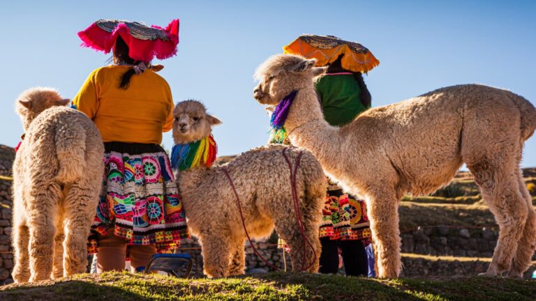 Dos mujeres andinas con trajes típicos y coloridos junto a un grupo de adorables alpacas en una colina de los Andes peruanos.
