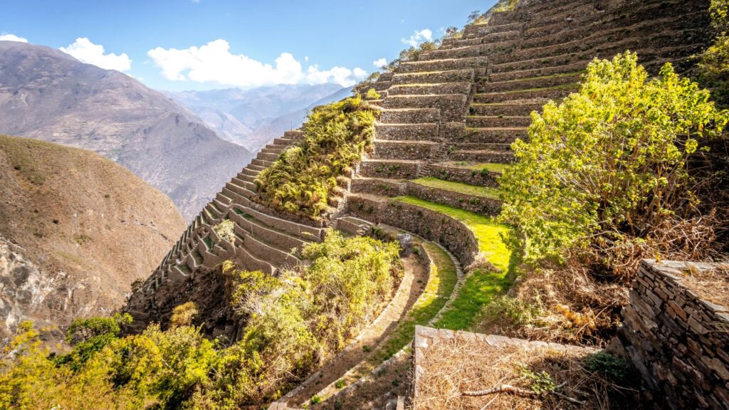 Andenes incas de piedra descienden por una montaña verde y soleada en el sitio arqueológico de Choquequirao, con los Andes de fondo.