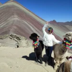 Viajera con dos alpacas adornadas en el mirador de la Montaña de 7 Colores