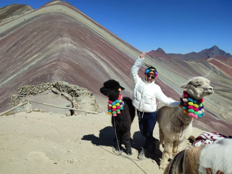 Viajera con dos alpacas adornadas en el mirador de la Montaña de 7 Colores