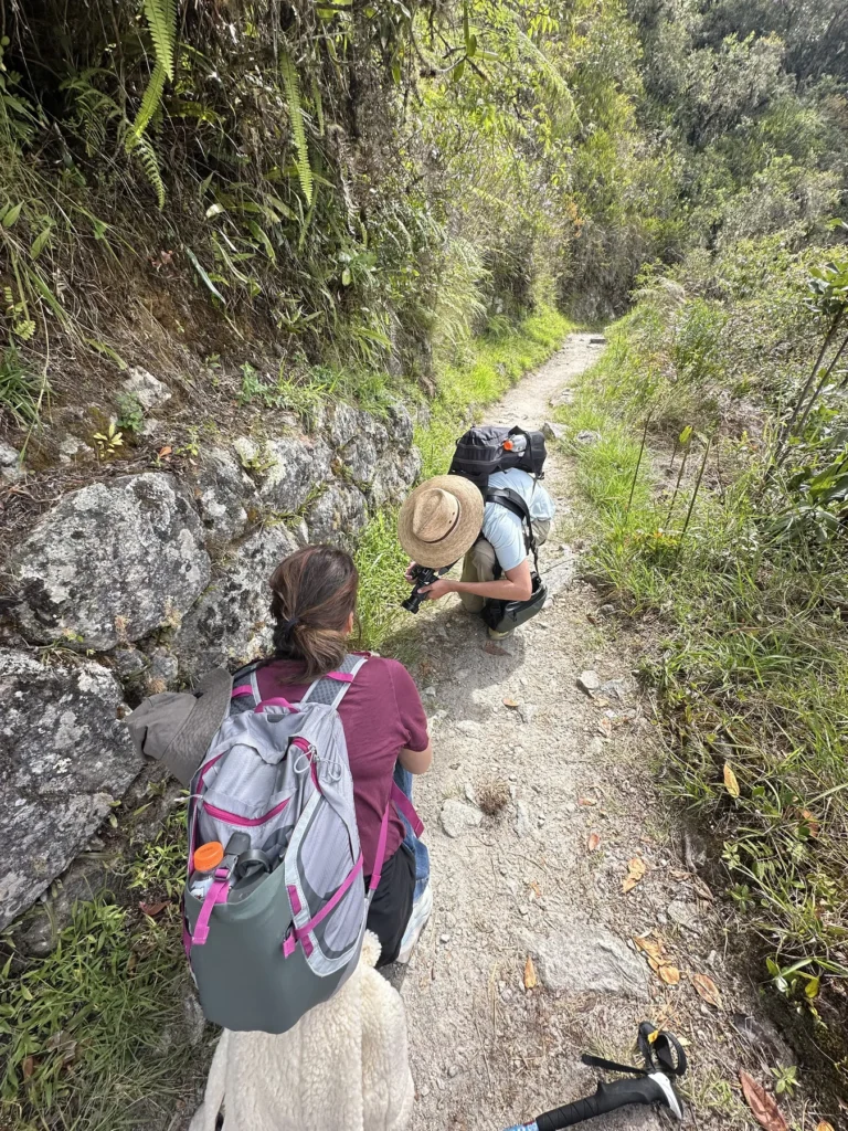 Caminantes avanzando por el sendero del Camino Inca junto a un muro de piedra