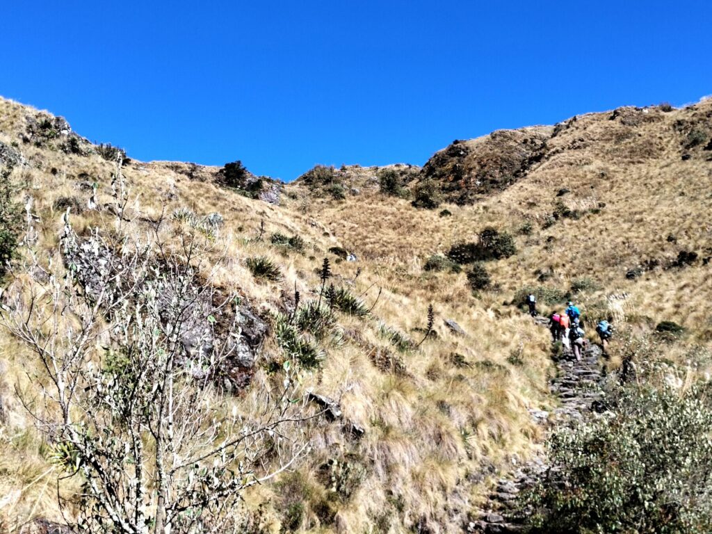 Caminantes subiendo hacia el segundo paso del Camino Inca