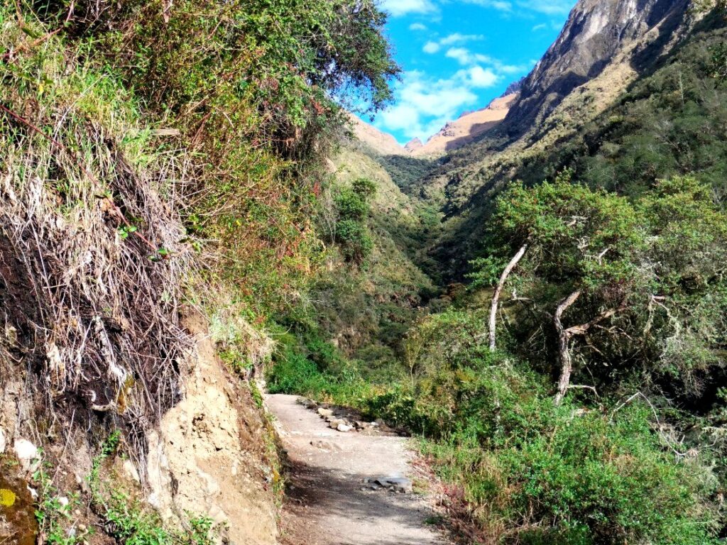 Sendero del Camino Inca entre la vegetación de un valle andino