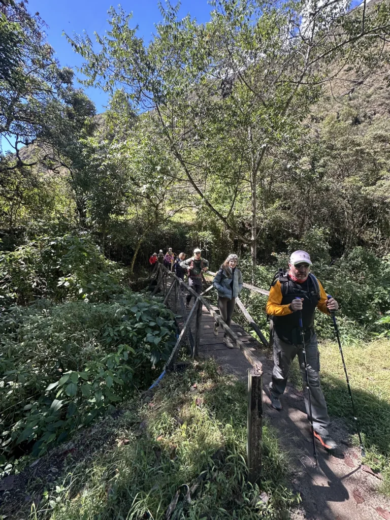 Grupo de caminantes con su guía en un sendero de bosque andino