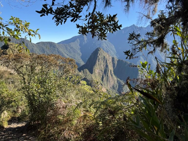 Montaña Machu Picchu 2026 y 2027: cómo es la subida, boletos y cupos de la Ruta 1-A