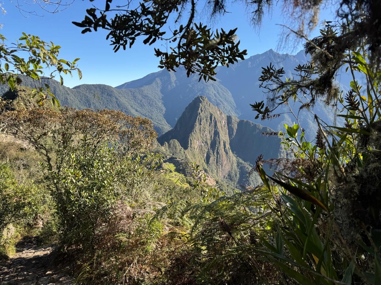 Montaña Machu Picchu 2026 y 2027: cómo es la subida, boletos y cupos de la Ruta 1-A