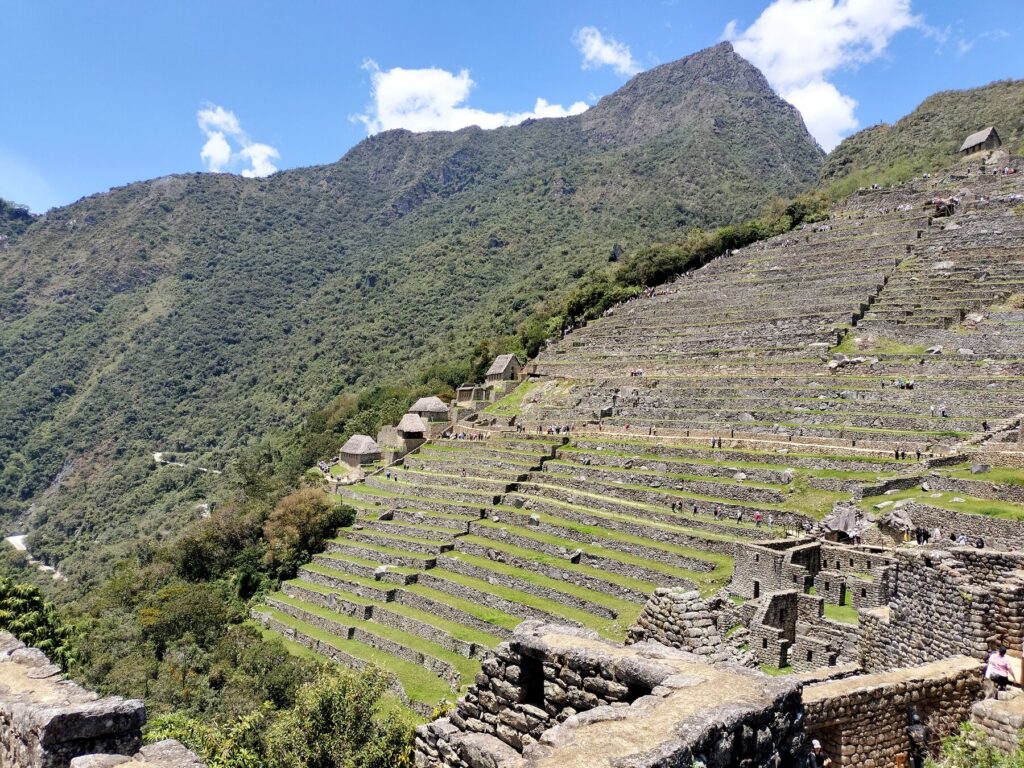 Andenes de Machu Picchu sobre el valle cubierto de bosque