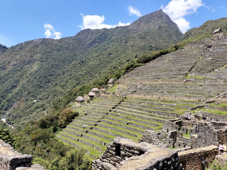 Andenes de Machu Picchu sobre el valle cubierto de bosque