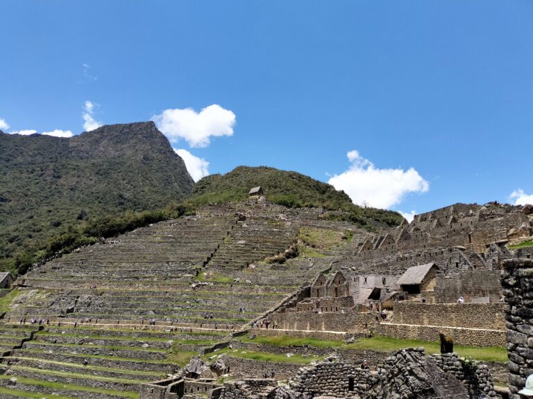 Andenes y casas incas con techo de paja en Machu Picchu