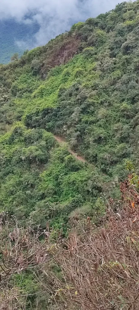 Sendero del trek a Choquequirao en la ladera del cañón del Apurímac, entre vegetación y nubes